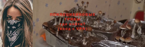 шишки Алексин