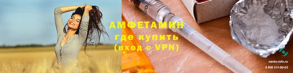 шишки Алексин