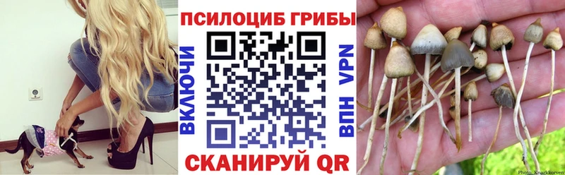 Галлюциногенные грибы ЛСД  наркотики  Геленджик 